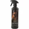Best Spray coat shine 500ml Lustrants Et Démêlants