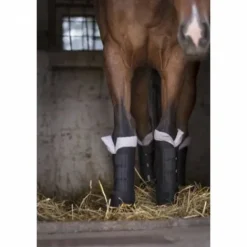 Online Stable boots Guêtres De Repos Et Soins