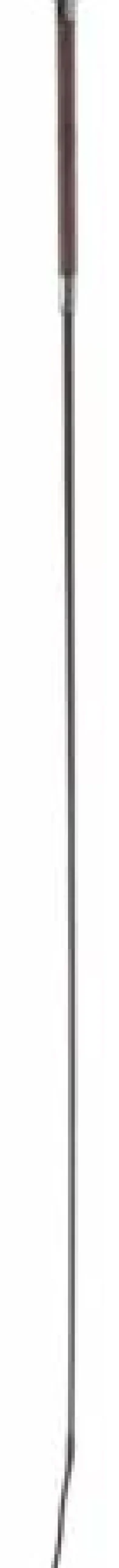 Clearance Stick de dressage poignée PU - - 110cm Cravaches