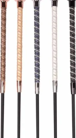 Online Stick dressage Precious Harry's horse Cravaches