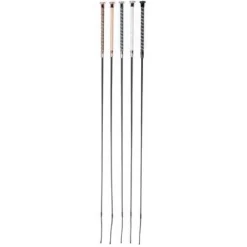 Online Stick dressage Precious Harry's horse Cravaches