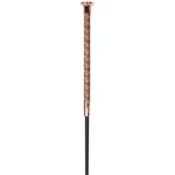 Online Stick dressage Precious Harry's horse Cravaches