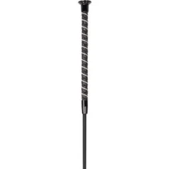 Online Stick dressage Precious Harry's horse Cravaches