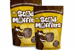 Discount Stud Muffins Friandises