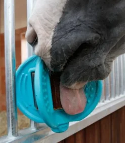 Online Support bloc à lécher Bizzy Ball Bloc À Lécher / Pierre À Sel