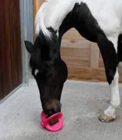 Online Support bloc à lécher Bizzy Ball Bloc À Lécher / Pierre À Sel