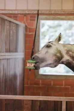 Hot Support de pierre à lécher Delizia® - Bloc À Lécher / Pierre À Sel