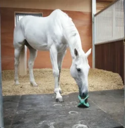 Clearance Support jouet bizzy ball - Bloc À Lécher / Pierre À Sel