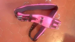 Hot Surfaix rose Surfaix