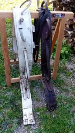 Clearance Surfaix Voltige Surfaix