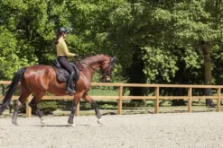 Discount Tapis Bicross Mattgloss Heritage 25/26 - - Doublure respirante Tapis De Dressage|Tapis De Selle