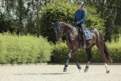 New Tapis big square Glam Heritage 24/25 Tapis De Dressage|Tapis De Cso