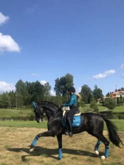 Hot Tapis Canard - Pool Party - Tapis De Dressage|Tapis De Cso