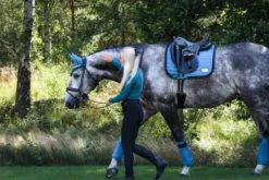 Hot Tapis Canard - Pool Party - Tapis De Dressage|Tapis De Cso