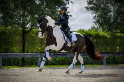 Online Tapis Morning Sky - Tapis De Dressage|Tapis De Cso