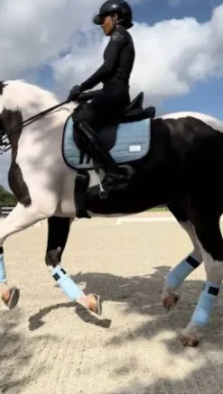 Online Tapis Morning Sky - Tapis De Dressage|Tapis De Cso