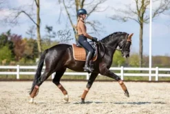 Discount Tapis bord rose - Rocky Road - Tapis De Dressage|Tapis De Cso