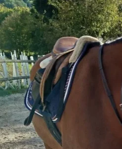 New Tapis championnat de France Tapis De Cso