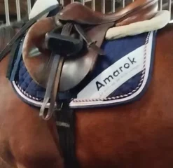 New Tapis championnat de France Tapis De Cso