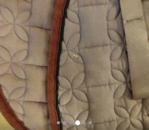 Clearance Tapis cottage craft cheval Tapis De Cso