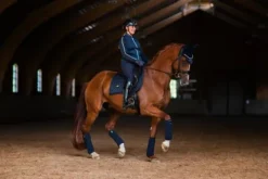 Outlet Tapis de dressage Modern Tech Navy - Tapis De Dressage|Tapis De Selle