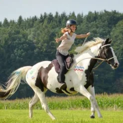 Best Tapis de monte à cru RIDE ON Kids Tapis De Selle|Tapis De Selle