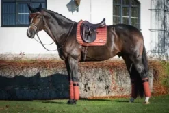 Discount Tapis de selle Cinnamon Spice - Tapis De Dressage|Tapis De Cso