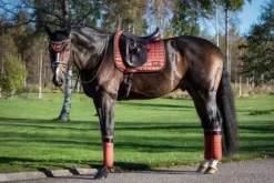 Discount Tapis de selle Cinnamon Spice - Tapis De Dressage|Tapis De Cso