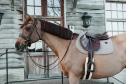 Sale Tapis de selle Classique - Kentucky Tapis De Dressage|Tapis De Cso