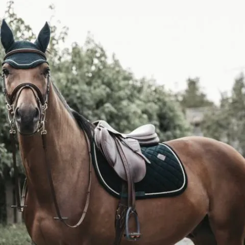Tapis de selle Corduroy DRESSAGE - Kentucky - Amorti optimal Tapis De Dressage|Tapis De Selle
