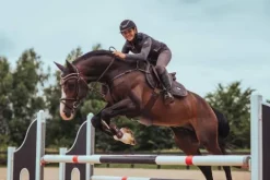 Outlet Tapis de selle Dark Sky - Tapis De Dressage|Tapis De Selle