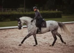 Outlet Tapis de selle Dark Sky - Tapis De Dressage|Tapis De Selle