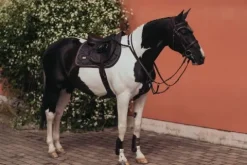 Outlet Tapis de selle Dark Sky - Tapis De Dressage|Tapis De Selle