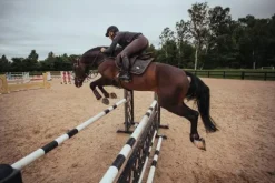 Outlet Tapis de selle Dark Sky - Tapis De Dressage|Tapis De Selle