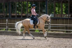 Discount Tapis de selle Desert Rose - Tapis De Dressage|Tapis De Selle