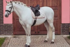 Discount Tapis de selle Desert Rose - Tapis De Dressage|Tapis De Selle