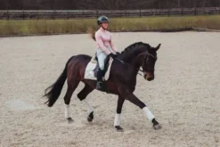 Discount Tapis de selle Desert Rose - Tapis De Dressage|Tapis De Selle