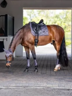 Clearance Tapis de selle DRESSAGE - - High IQ Cool Comfor Tapis De Dressage|Tapis De Selle