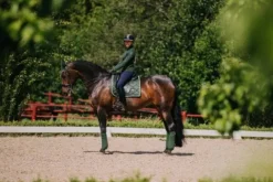 Outlet Tapis de selle DRESSAGE Forest Green - - Tissu déperlant Tapis De Dressage|Tapis De Selle