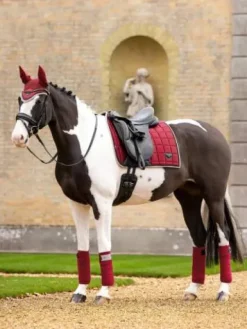 Outlet Tapis de selle dressage loire classic ember - - satin tissé Tapis De Dressage|Tapis De Selle