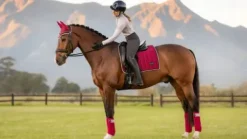 Outlet Tapis de selle dressage loire classic ember - - satin tissé Tapis De Dressage|Tapis De Selle