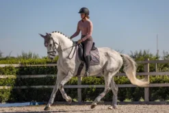 Outlet Tapis de selle Dusty pink - Tapis De Dressage|Tapis De Selle