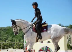 Online Tapis de selle - Black Cherry Tapis De Dressage|Tapis De Cso