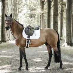 New Tapis de selle Fishbone - Kentucky - Amorti optimal Tapis De Cso|Tapis De Selle