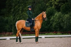 Sale Tapis de selle Forest Green - Tapis De Dressage|Tapis De Selle