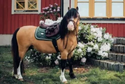 Sale Tapis de selle Forest Green - Tapis De Dressage|Tapis De Selle