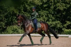 Sale Tapis de selle Forest Green - Tapis De Dressage|Tapis De Selle