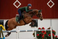 Sale Tapis de selle Forest Green - Tapis De Dressage|Tapis De Selle