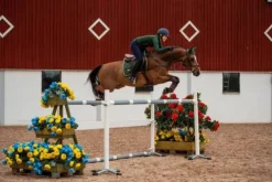 Sale Tapis de selle Forest Green - Tapis De Dressage|Tapis De Selle