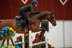 Sale Tapis de selle Forest Green - Tapis De Dressage|Tapis De Selle